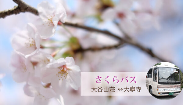 【春の催し】大寧寺でお花見。｢さくらバス｣で無料送迎のご案内(2023年3月25日～4月9日)