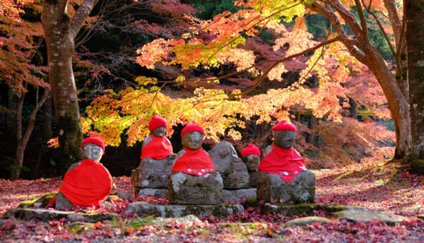 【秋の催し】秋の風物詩の紅葉をご鑑賞いただける｢紅葉バス｣、ろくろ回しや模様入れの工程を体験いただける｢萩焼･本格体験｣のご案内。